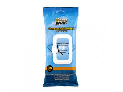 Влажные салфетки для стекол от GOLDEN SNAIL Влажные салфетки для стекол